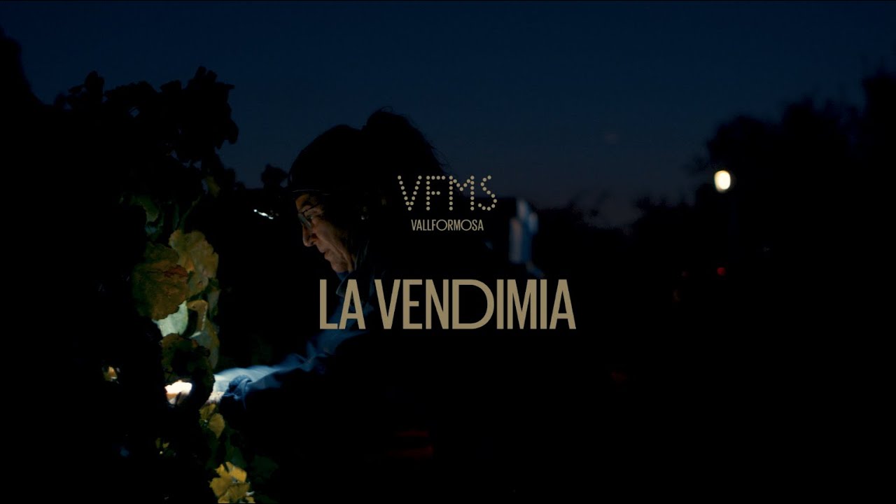 La vendimia 🍇