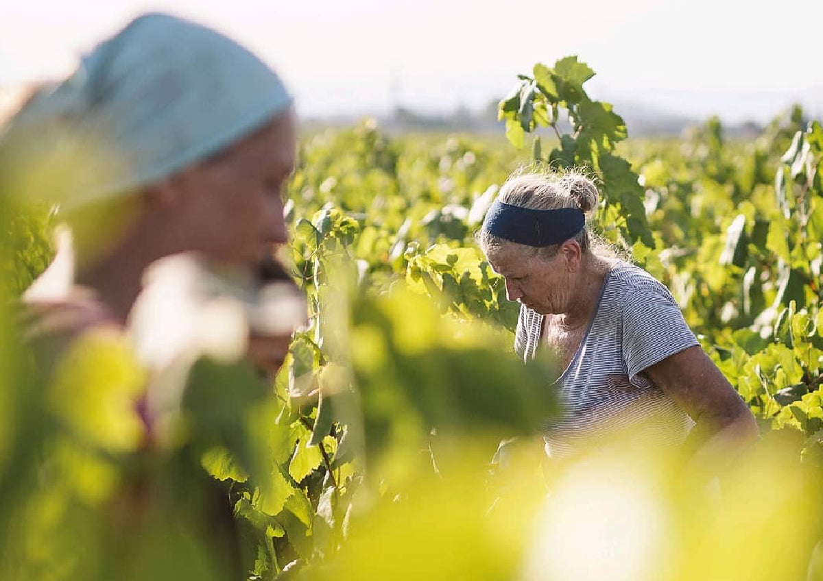 Vallformosa, una empresa de mujeres