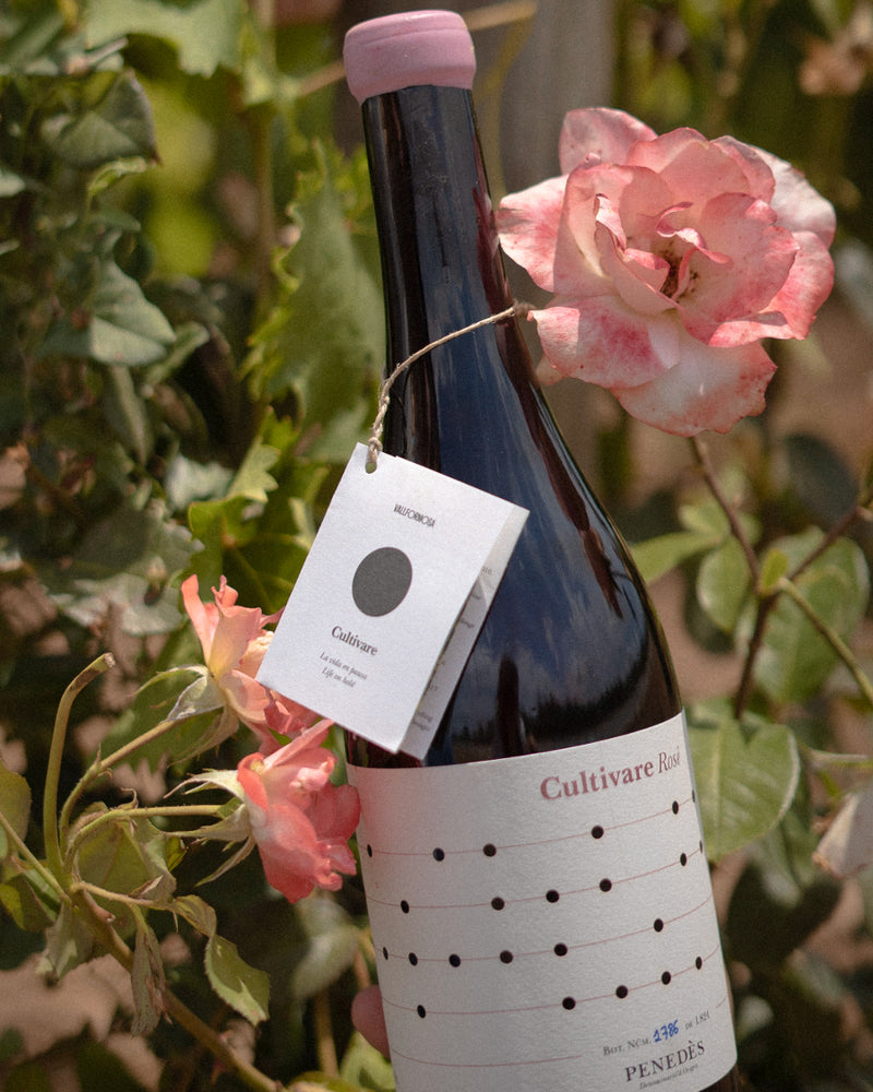 Cultivare Rosé - Life on hold